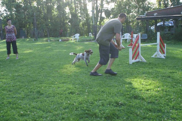 agility 2011-08